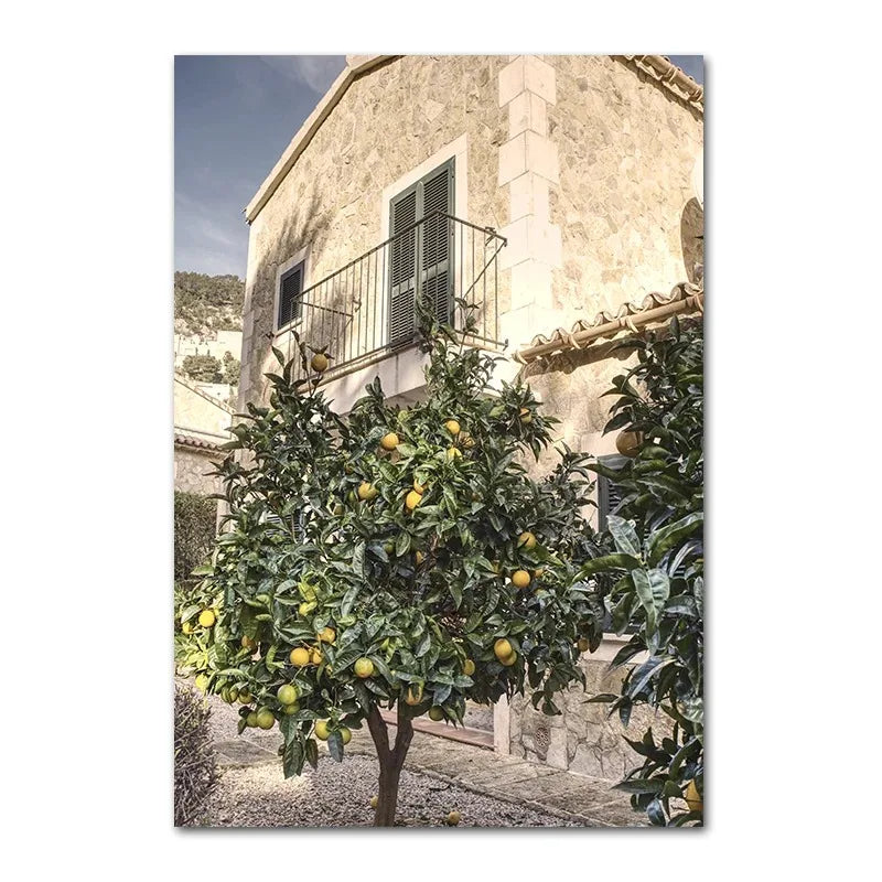 Italian Town | Home Garden | Lemon Tree