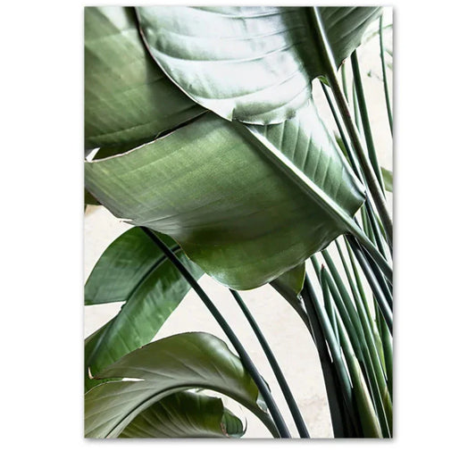 Natures Structure: Minimalist Green Art