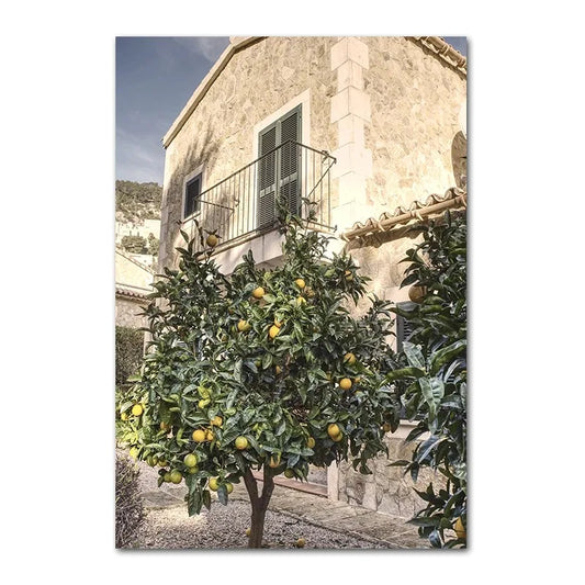 Italian Town | Home Garden | Lemon Tree
